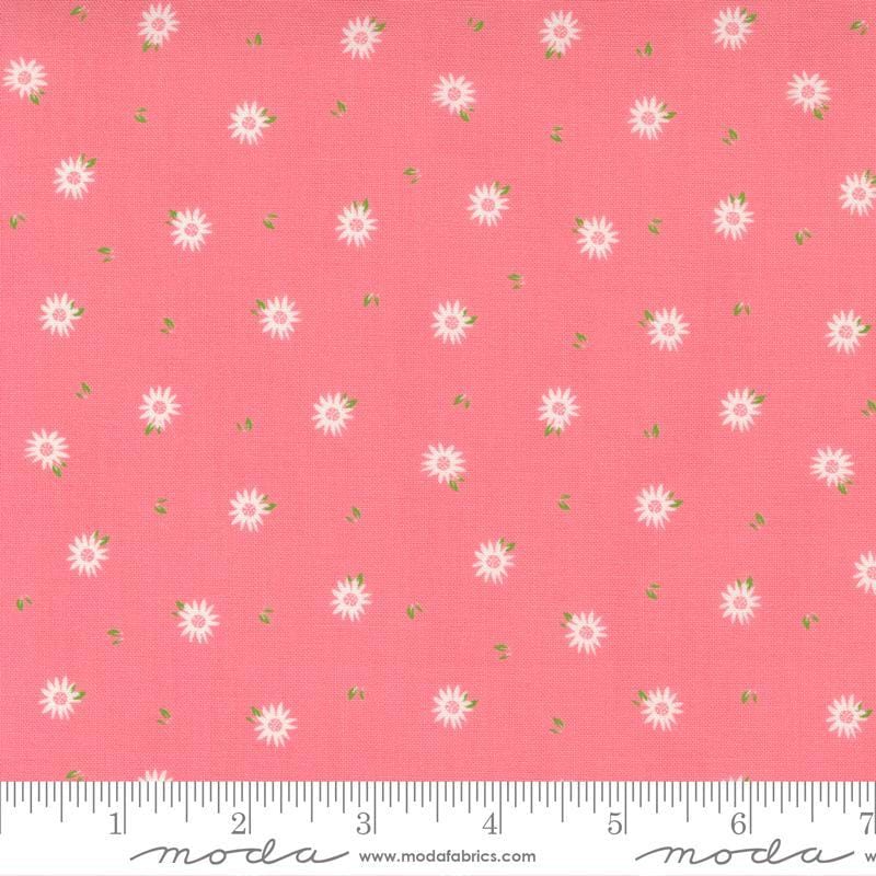 Sincerely Yours - Chamomile Floral - Flamingo MODA/ United Notions 